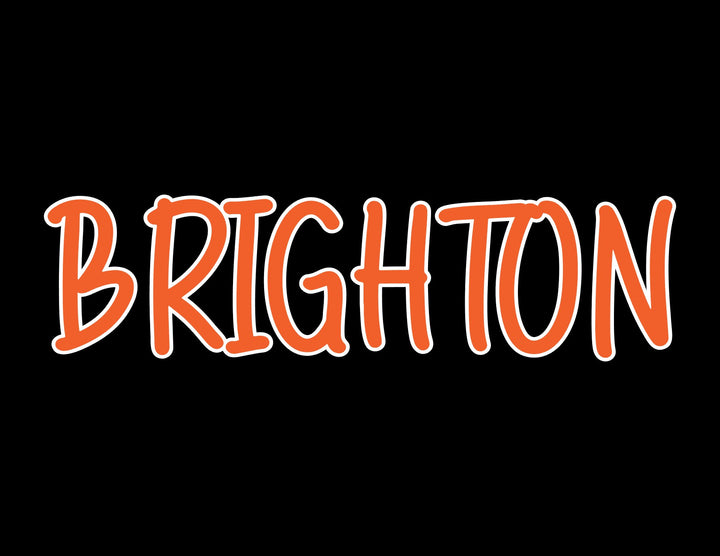 BRIGHTON B228