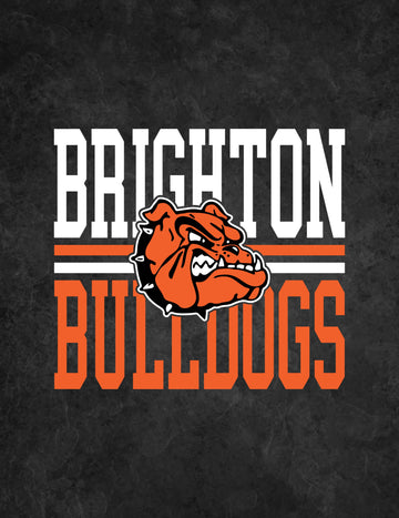 Brighton Bulldogs Outdoor Blanket B10